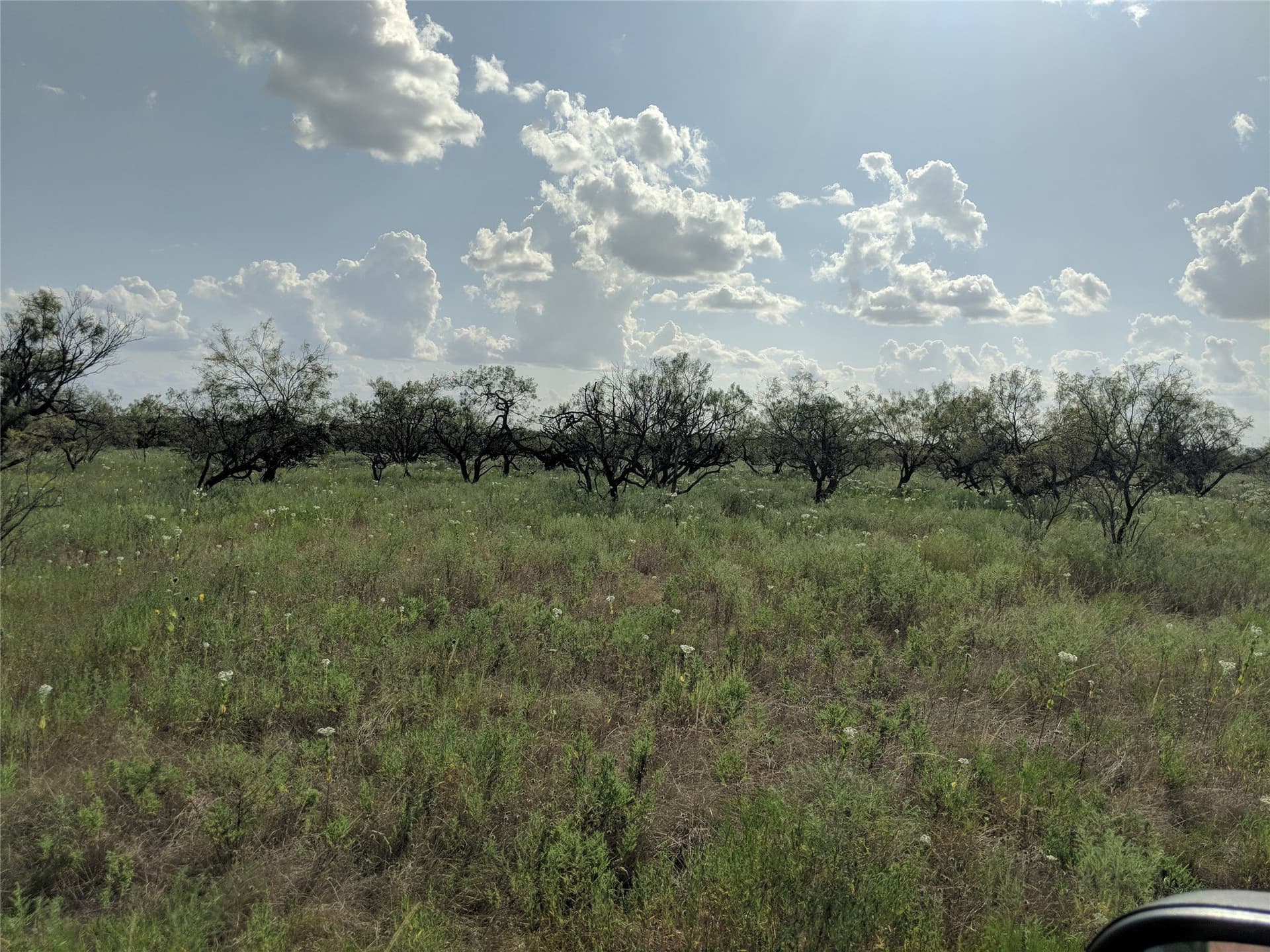 10 acres in Hamilton County - photo 12