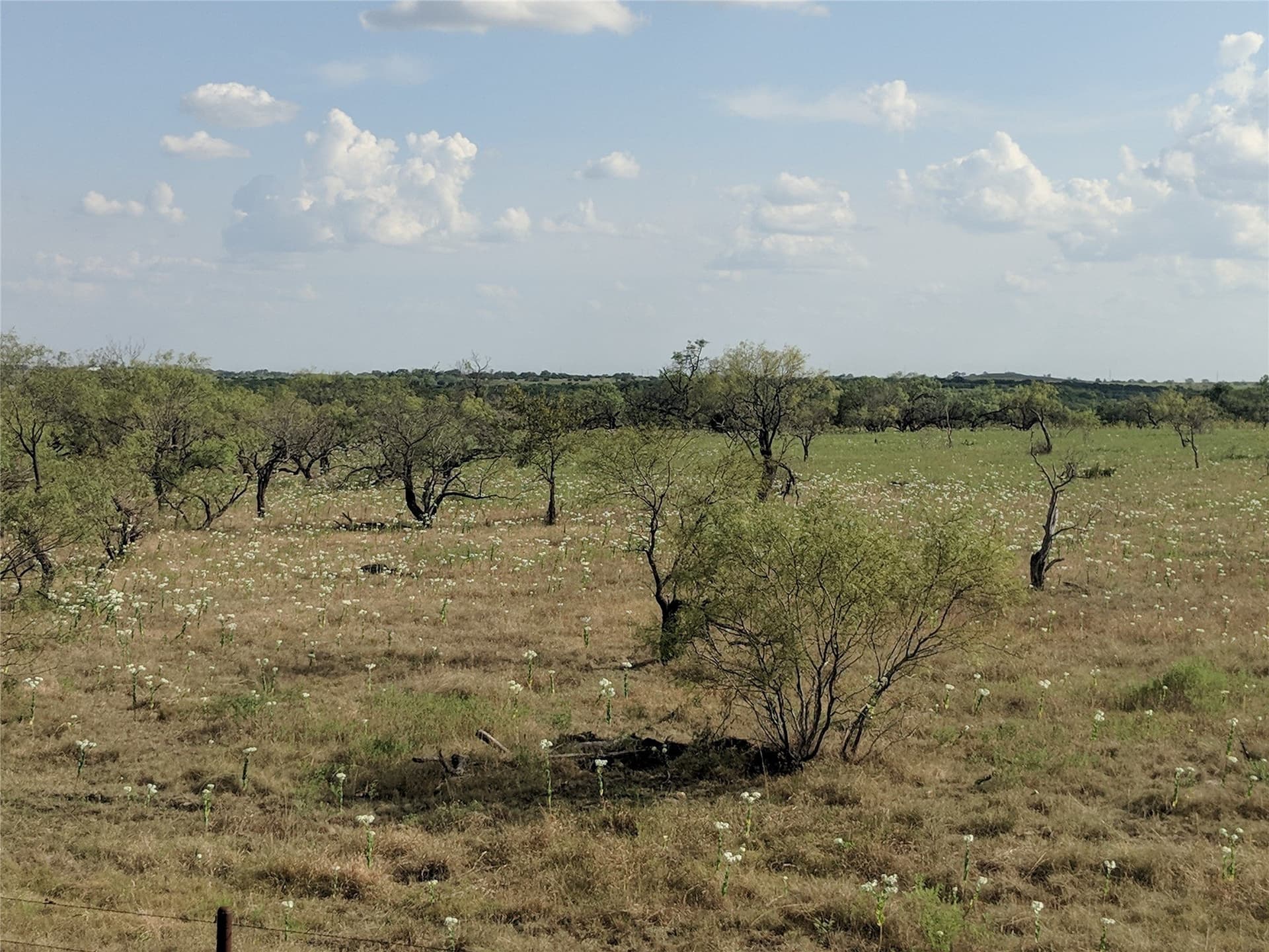 10 acres in Hamilton County - photo 5