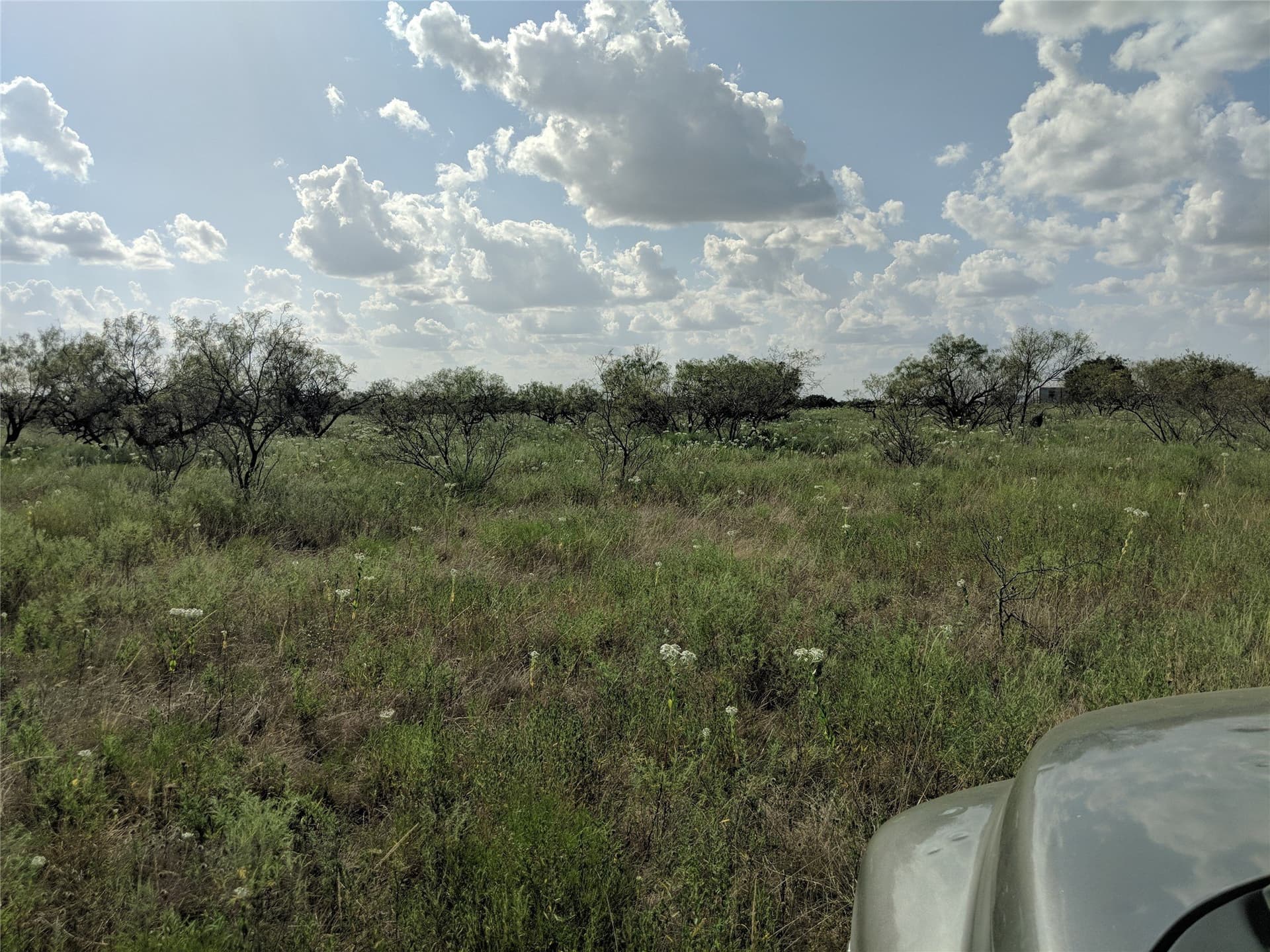 10 acres in Hamilton County - photo 10