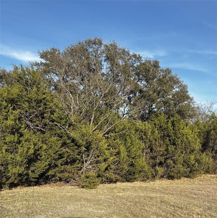 10 acres in Erath County featured view