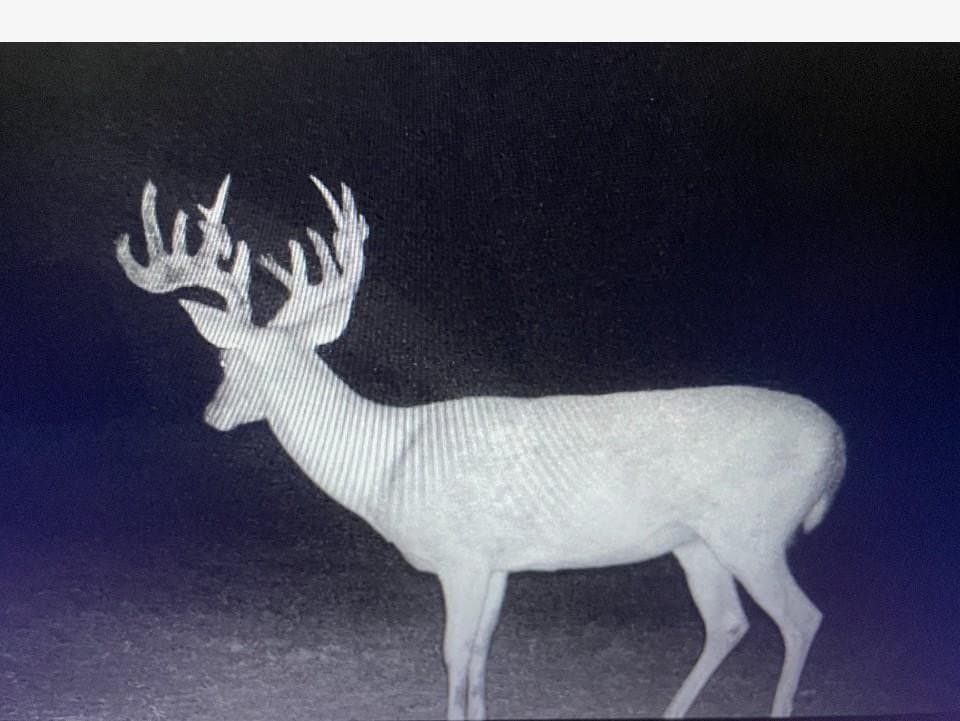 10 acres in Erath County gallery image 4