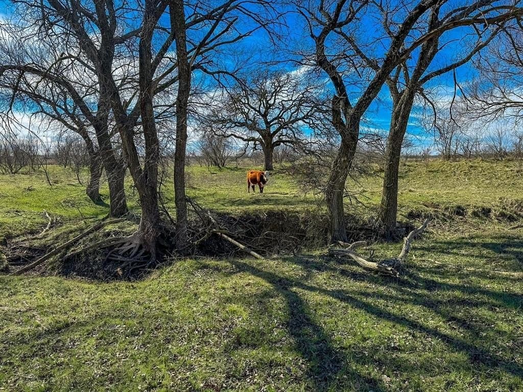 152 acres in Jack County gallery image 3