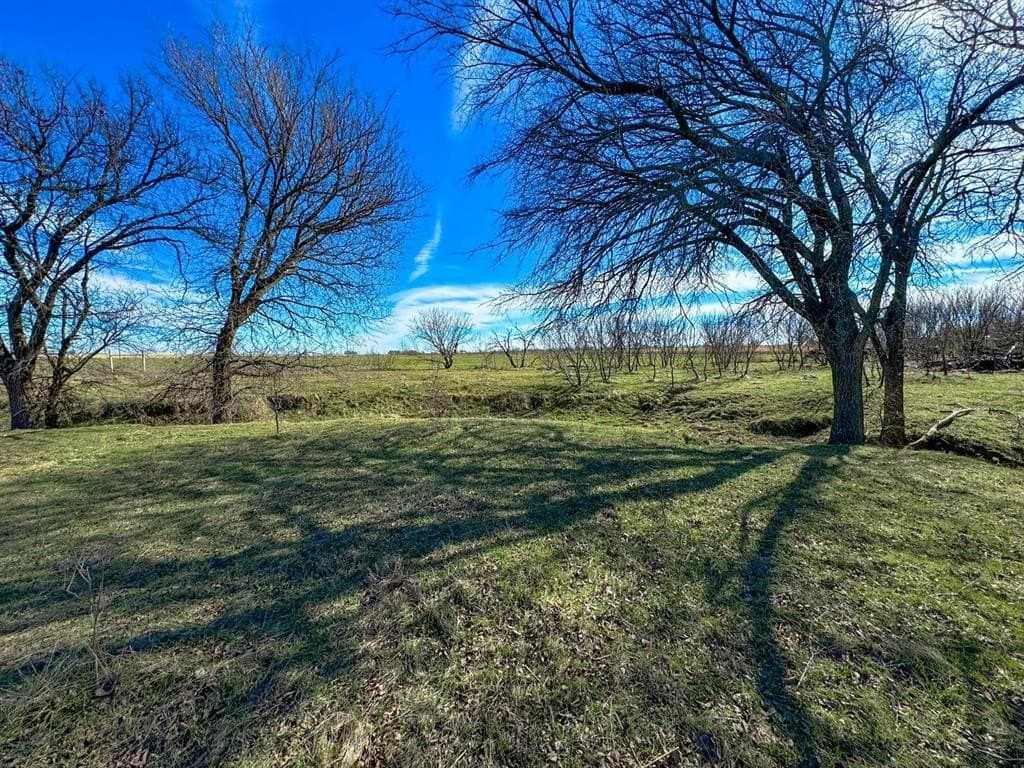 152 acres in Jack County gallery image 4