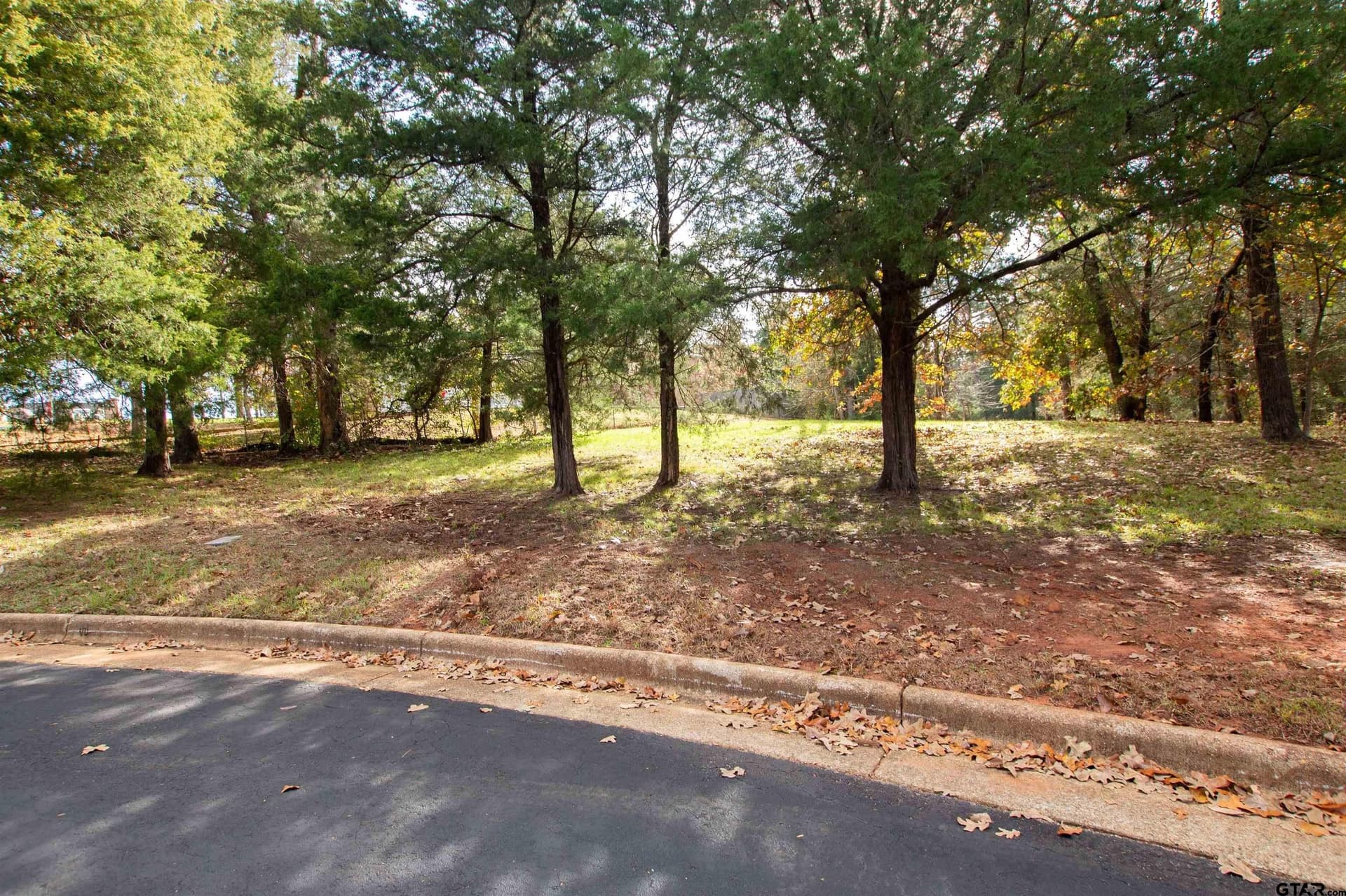 0.74 acres in Smith County gallery image 2