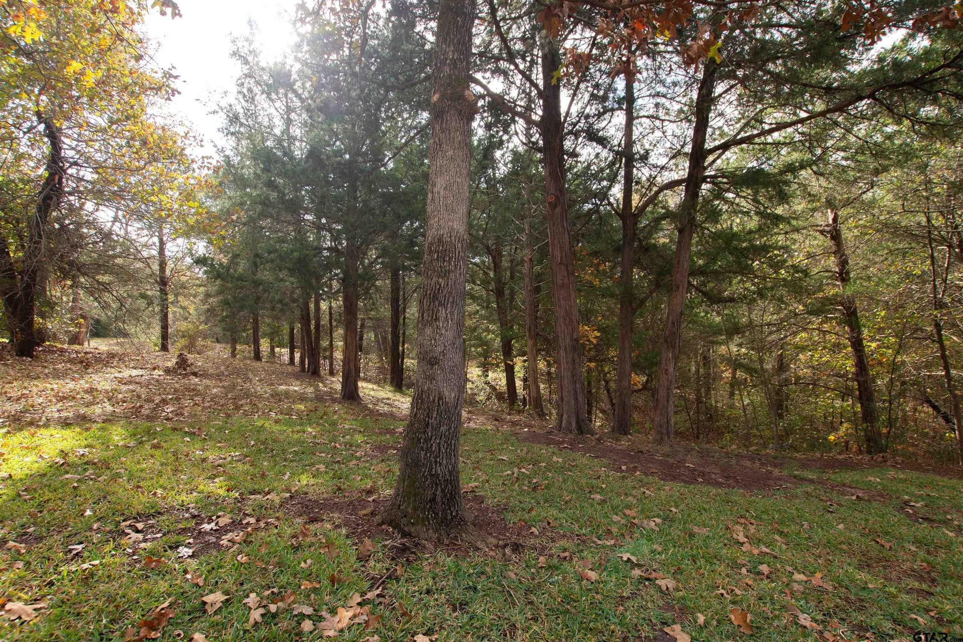 0.74 acres in Smith County gallery image 4