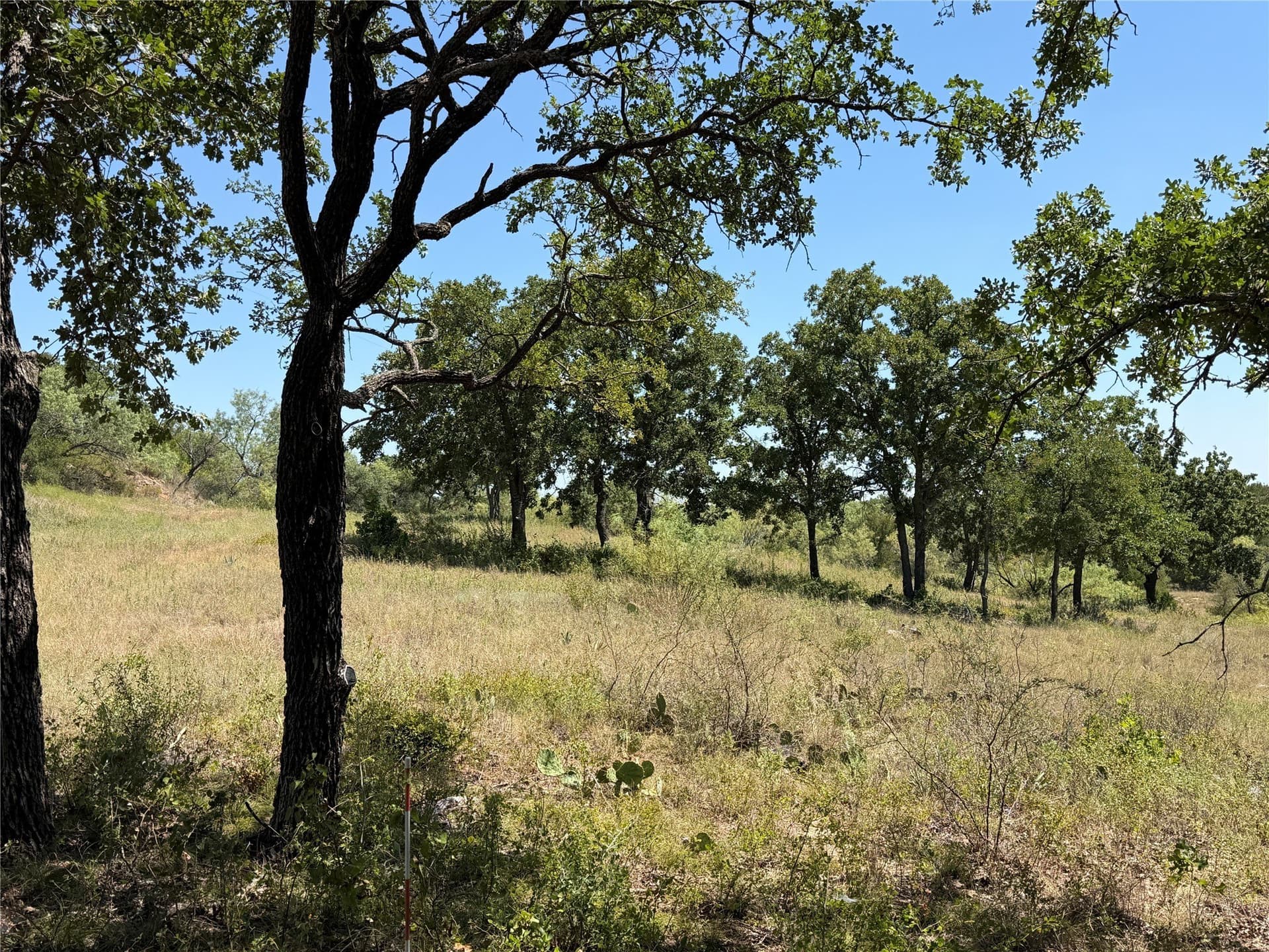5.61 acres in Brown County - photo 6