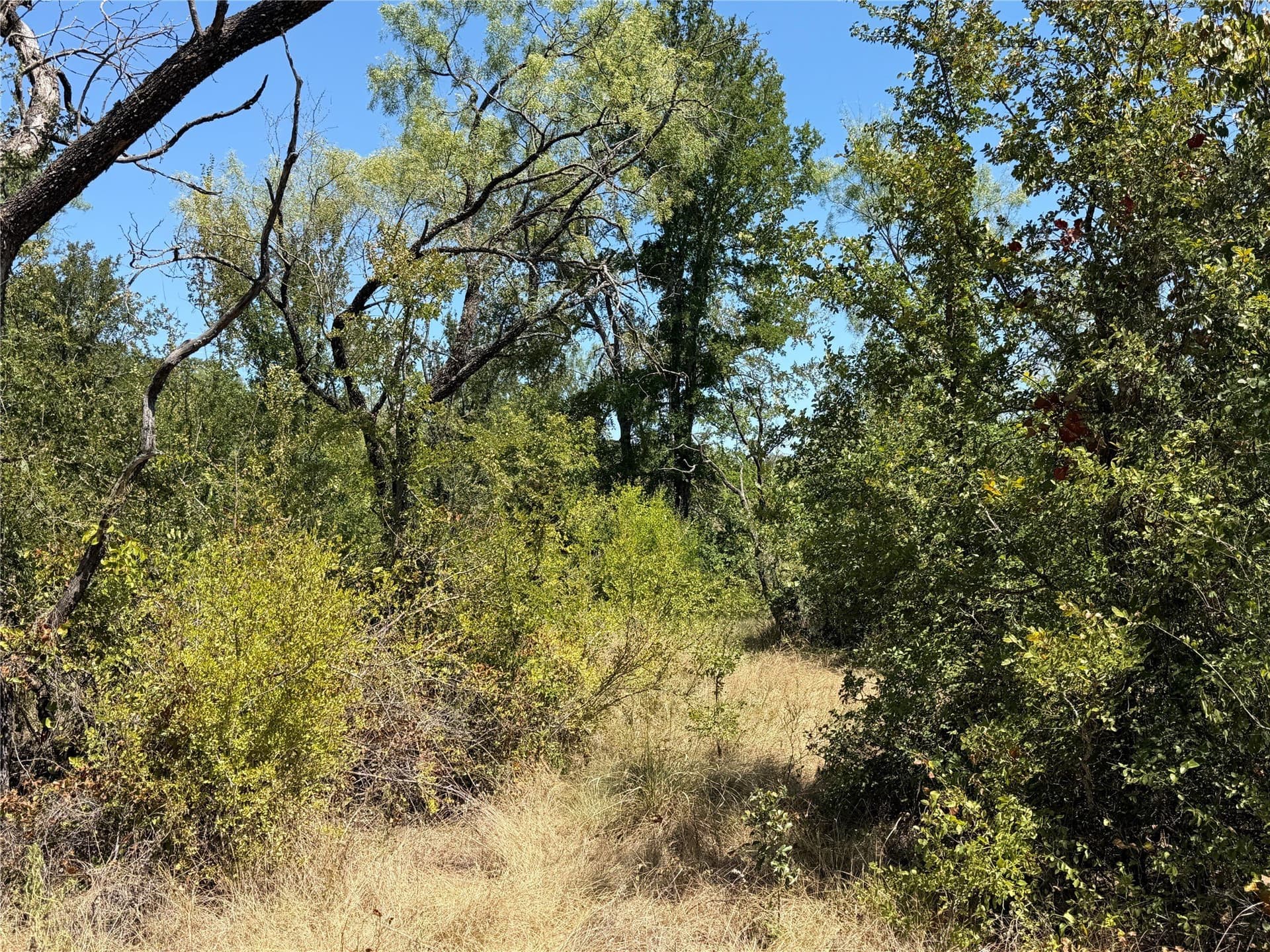5.61 acres in Brown County - photo 11