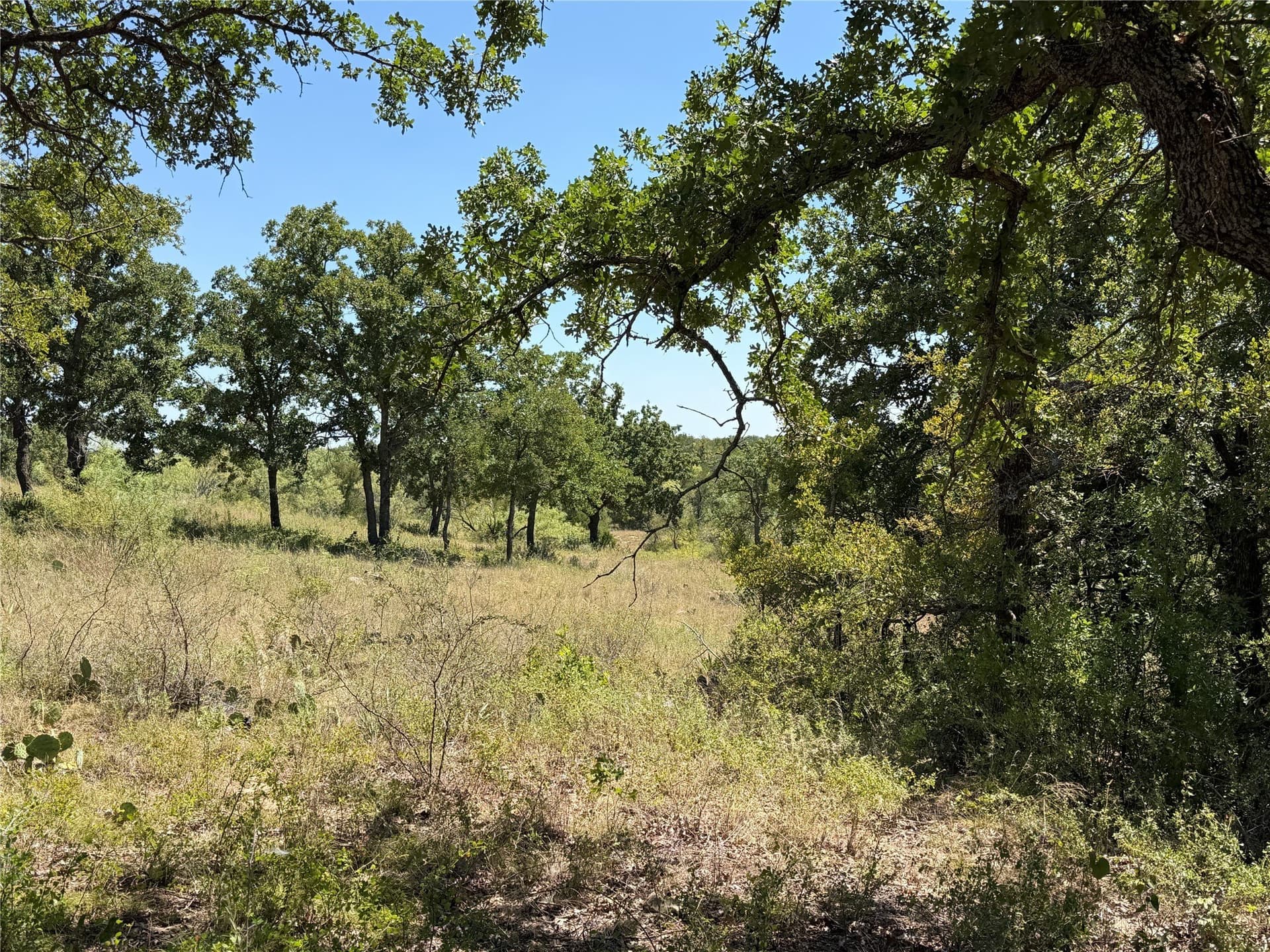 5.61 acres in Brown County - photo 8