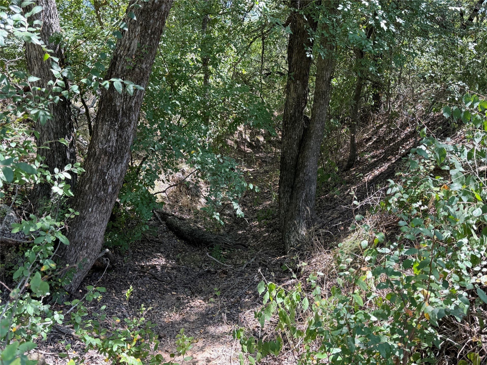 5.61 acres in Brown County - photo 9