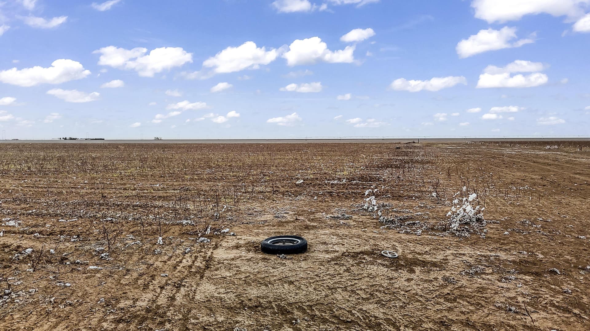 102.18 acres in Swisher County gallery image 4
