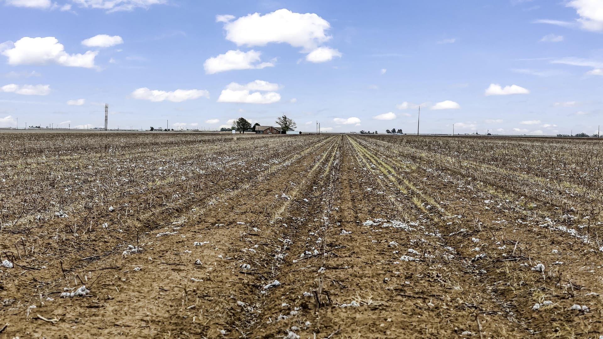 102.18 acres in Swisher County gallery image 3