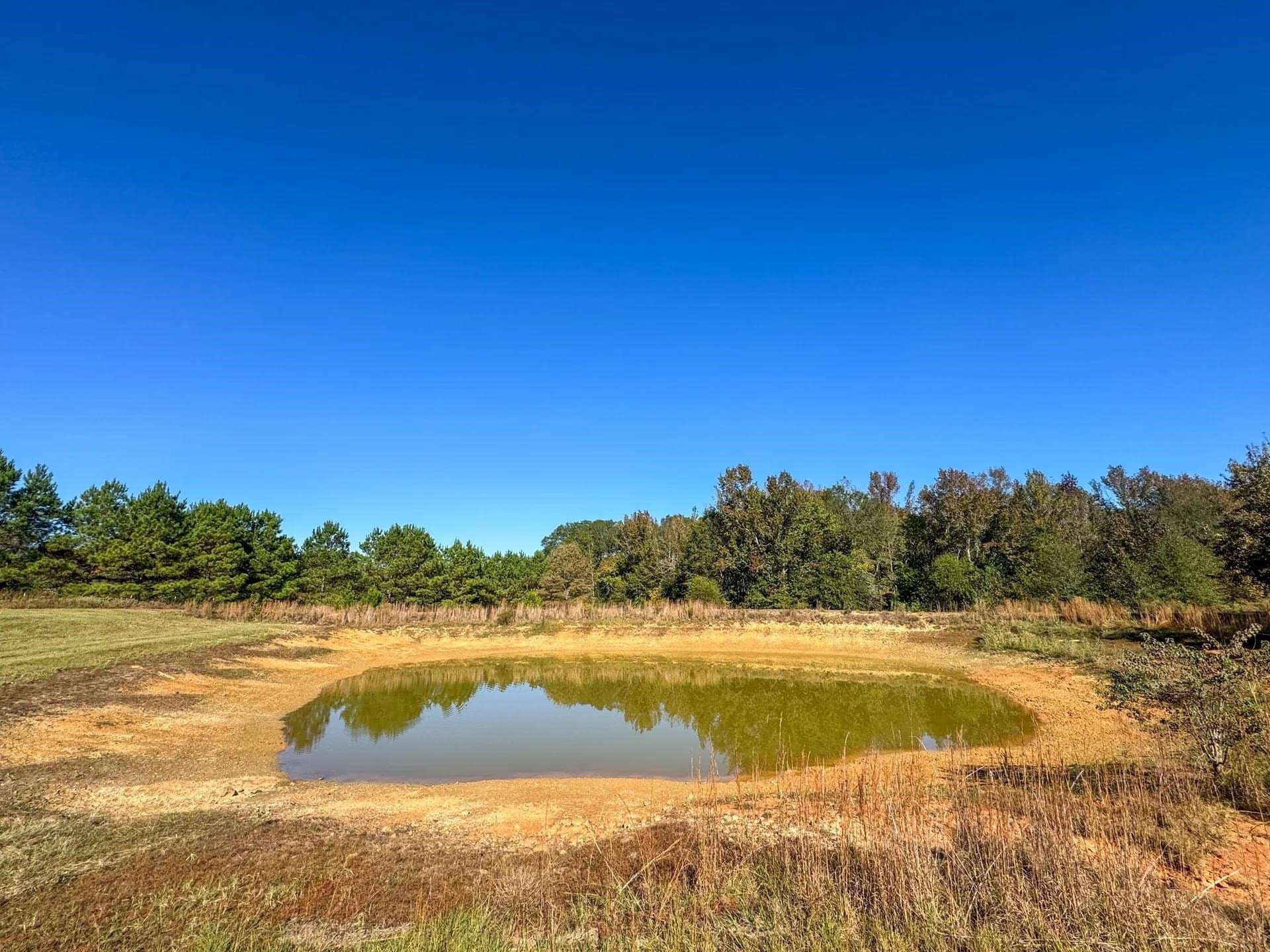 24.18 acres in Cass County - photo 41