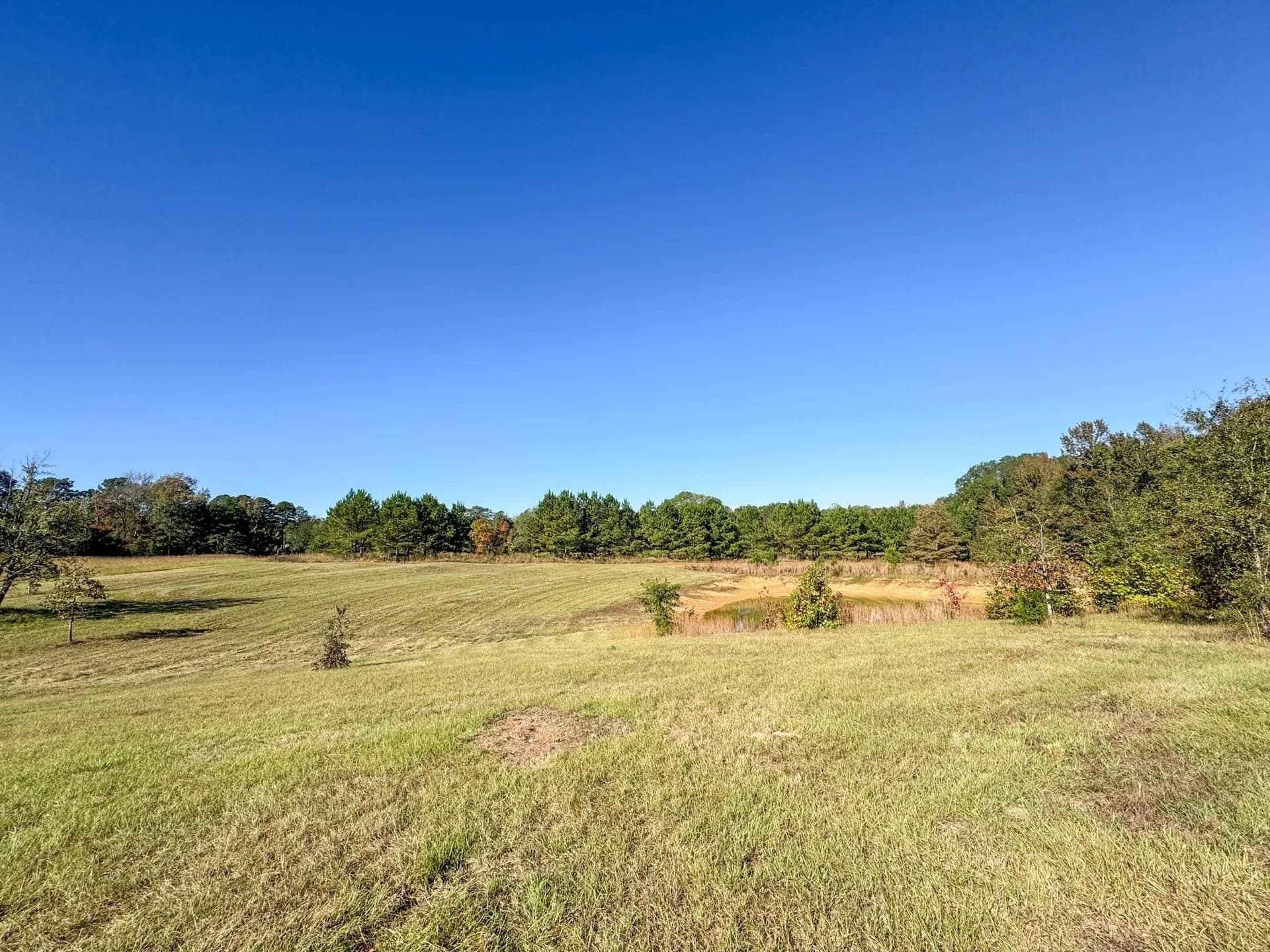 24.18 acres in Cass County - photo 46