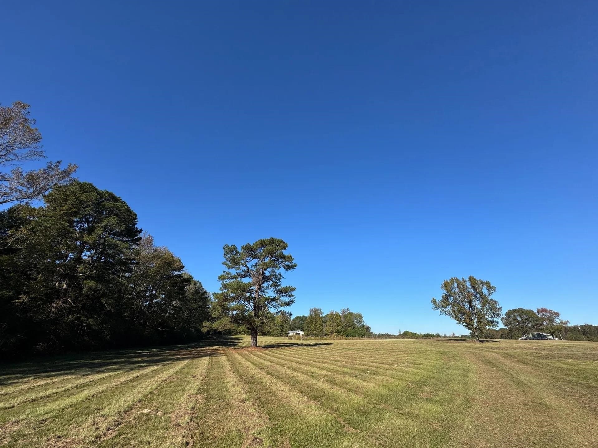 24.18 acres in Cass County - photo 48