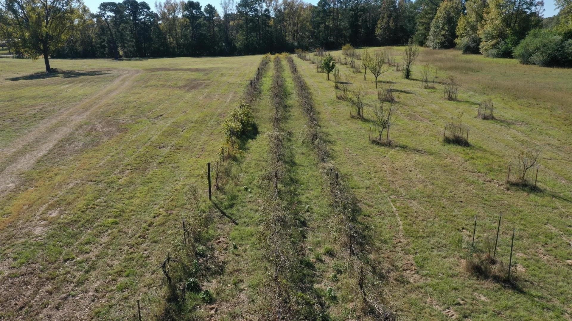 24.18 acres in Cass County - photo 43