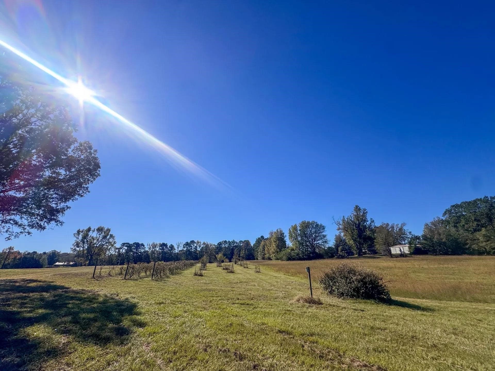 24.18 acres in Cass County - photo 42