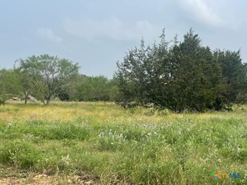 6.34 acres in Burnet County gallery image 2