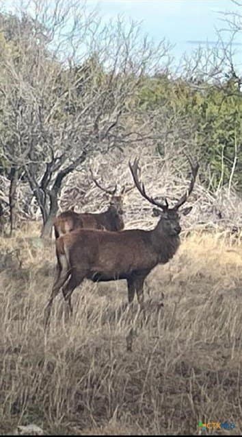 6.34 acres in Burnet County - photo 12