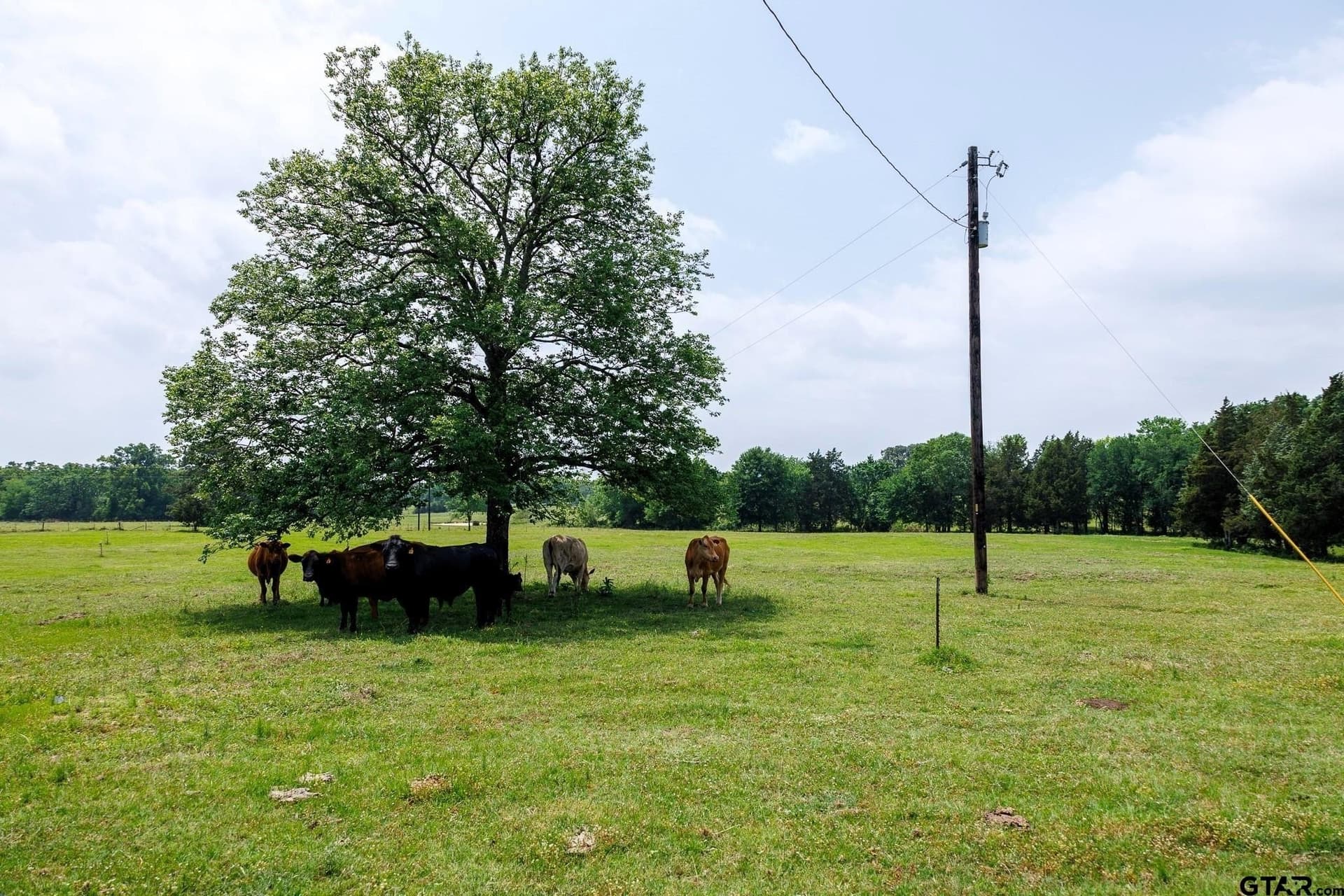47.79 acres in Van Zandt County gallery image 2