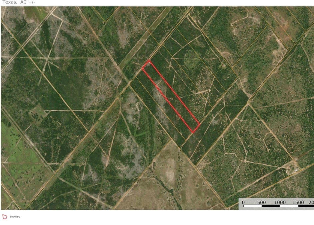 11.91 acres in Live Oak County - photo 3