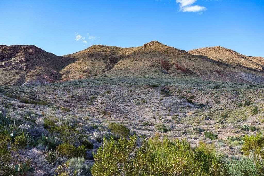 6,219.42 acres in Brewster County - photo 5