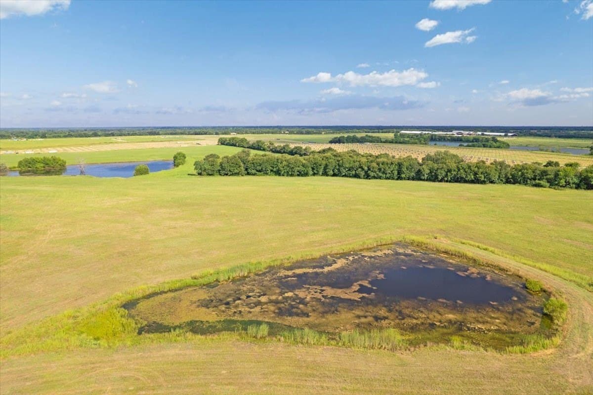 70.22 acres in Lamar County - photo 35
