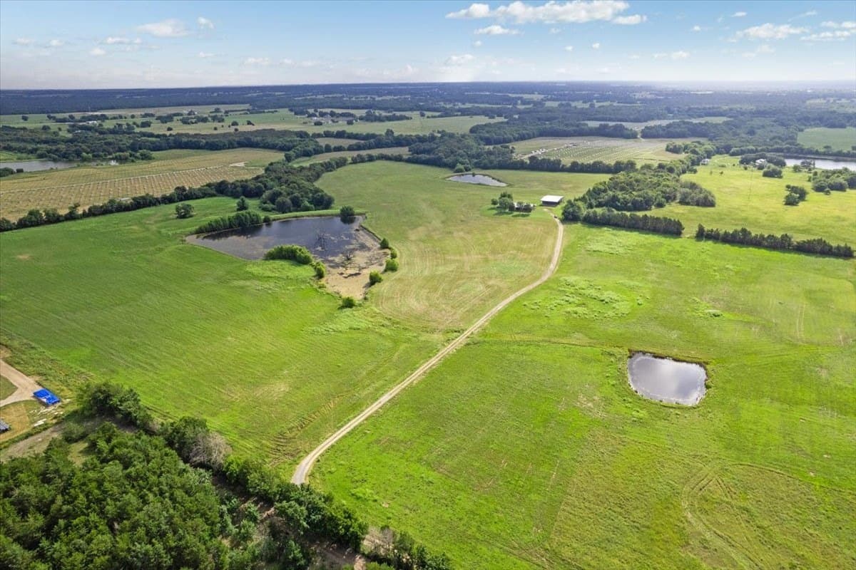 70.22 acres in Lamar County - photo 2