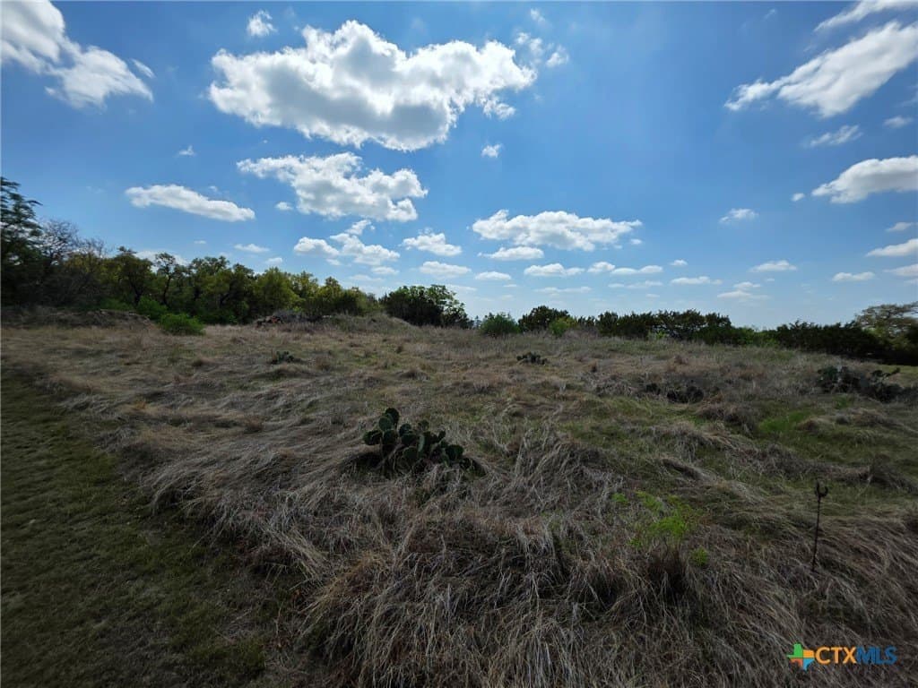 4.21 acres in Bell County gallery image 2