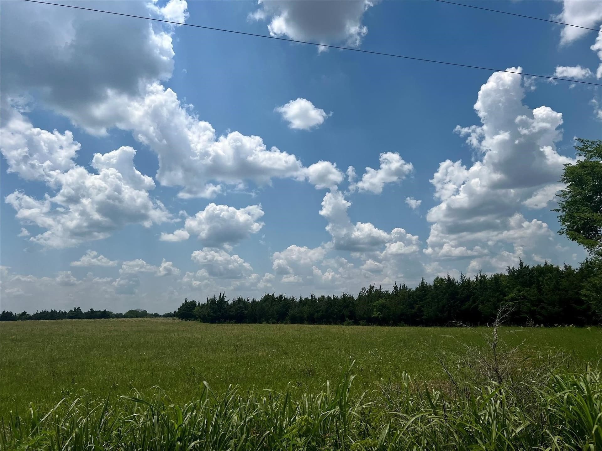 26.03 acres in Lamar County - photo 6