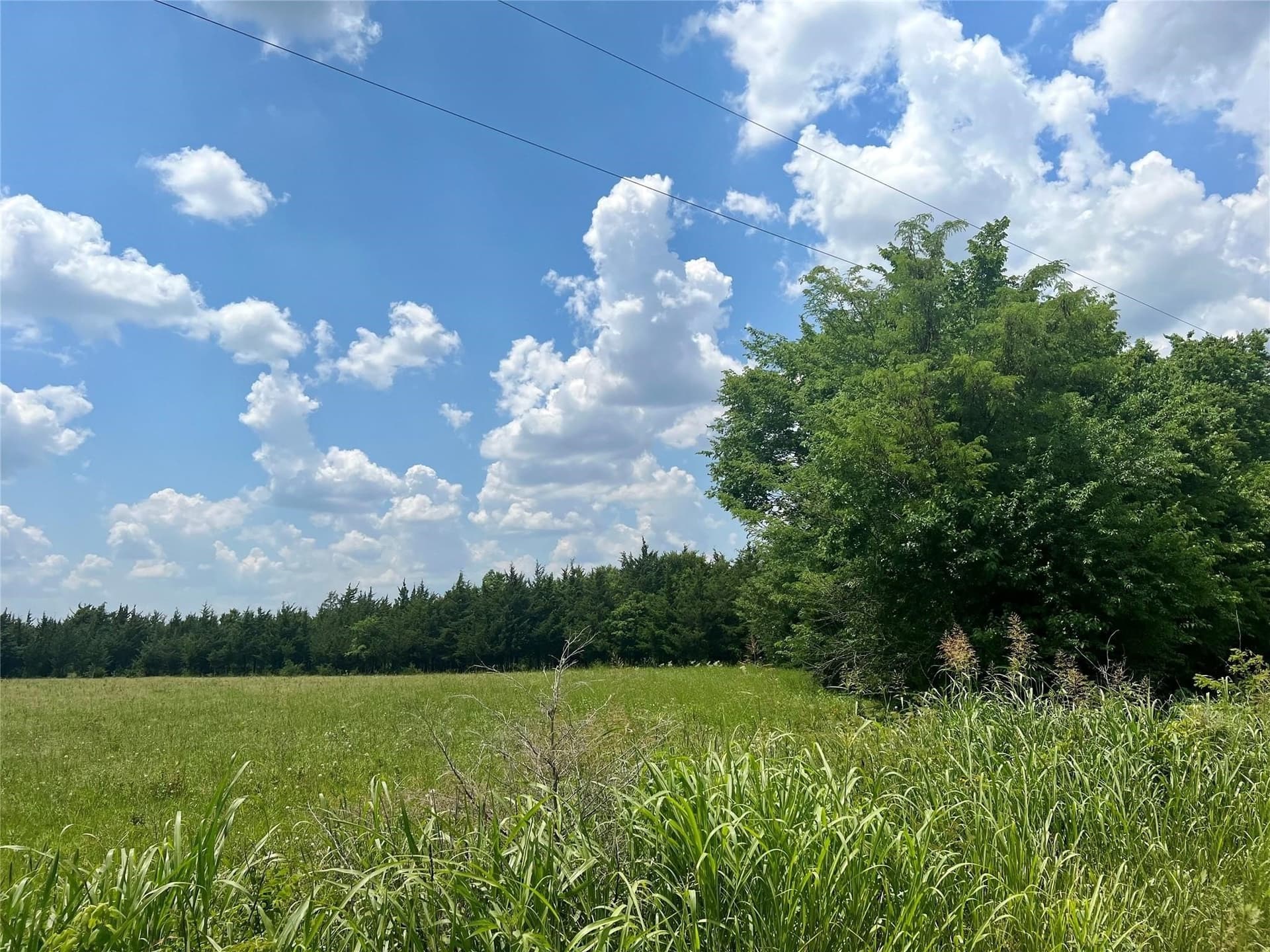 26.03 acres in Lamar County - photo 2