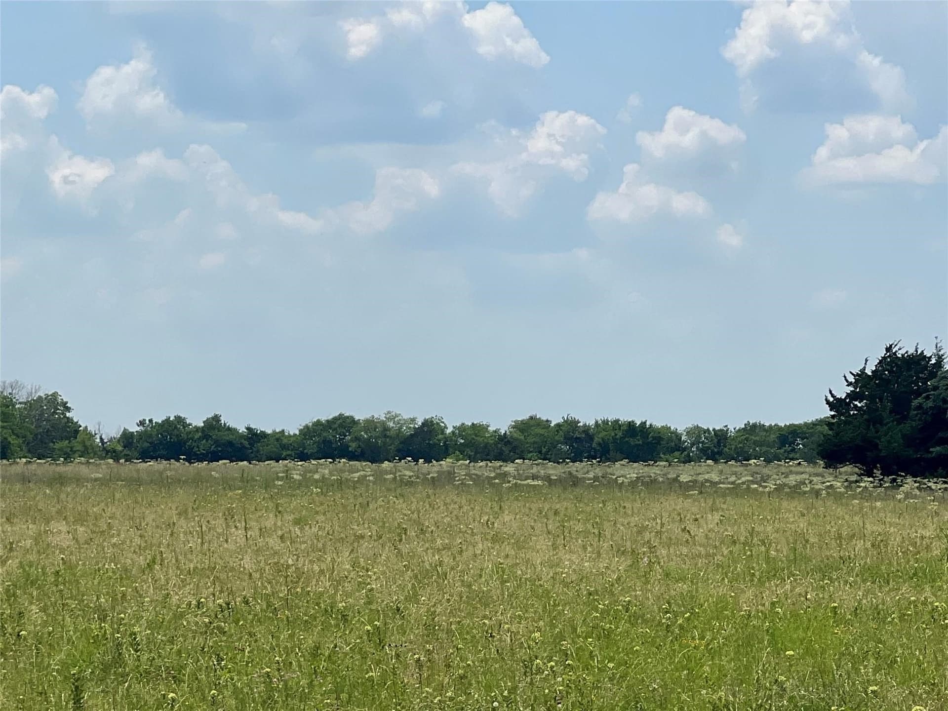 26.03 acres in Lamar County - photo 5