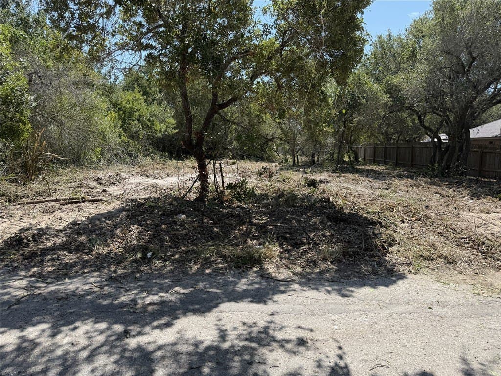 0.16 acres in San Patricio County - photo 4