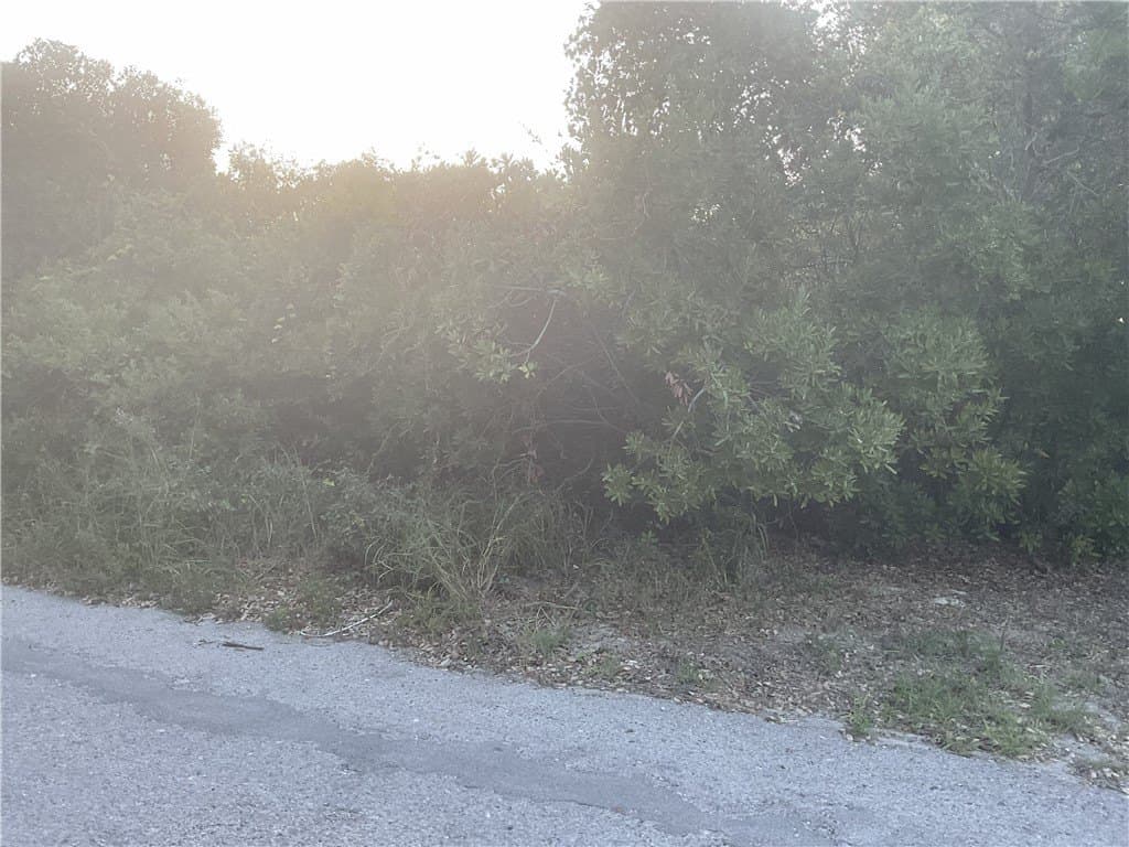 0.16 acres in San Patricio County gallery image 2