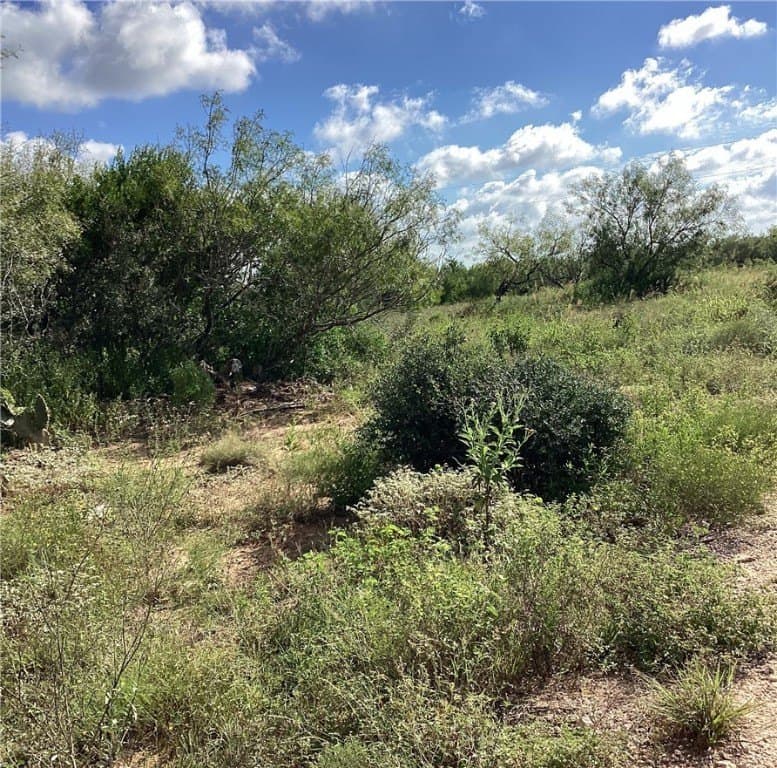 10.12 acres in Duval County gallery image 4