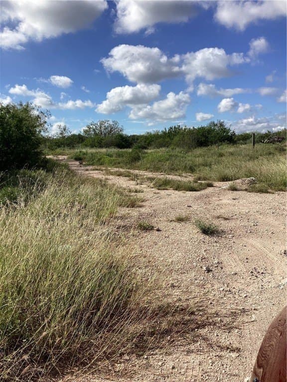 10.12 acres in Duval County gallery image 3