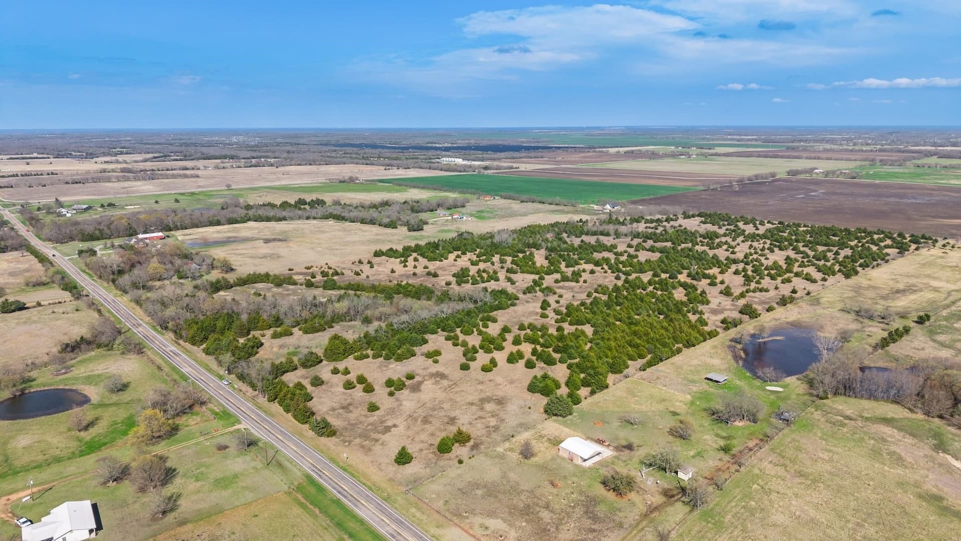 45.63 acres in Fannin County - photo 4