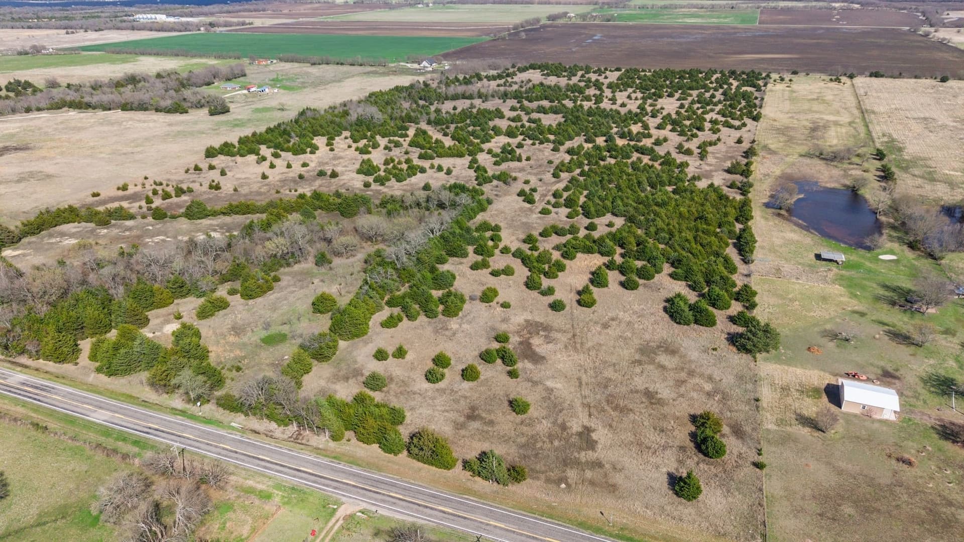 45.63 acres in Fannin County - photo 9