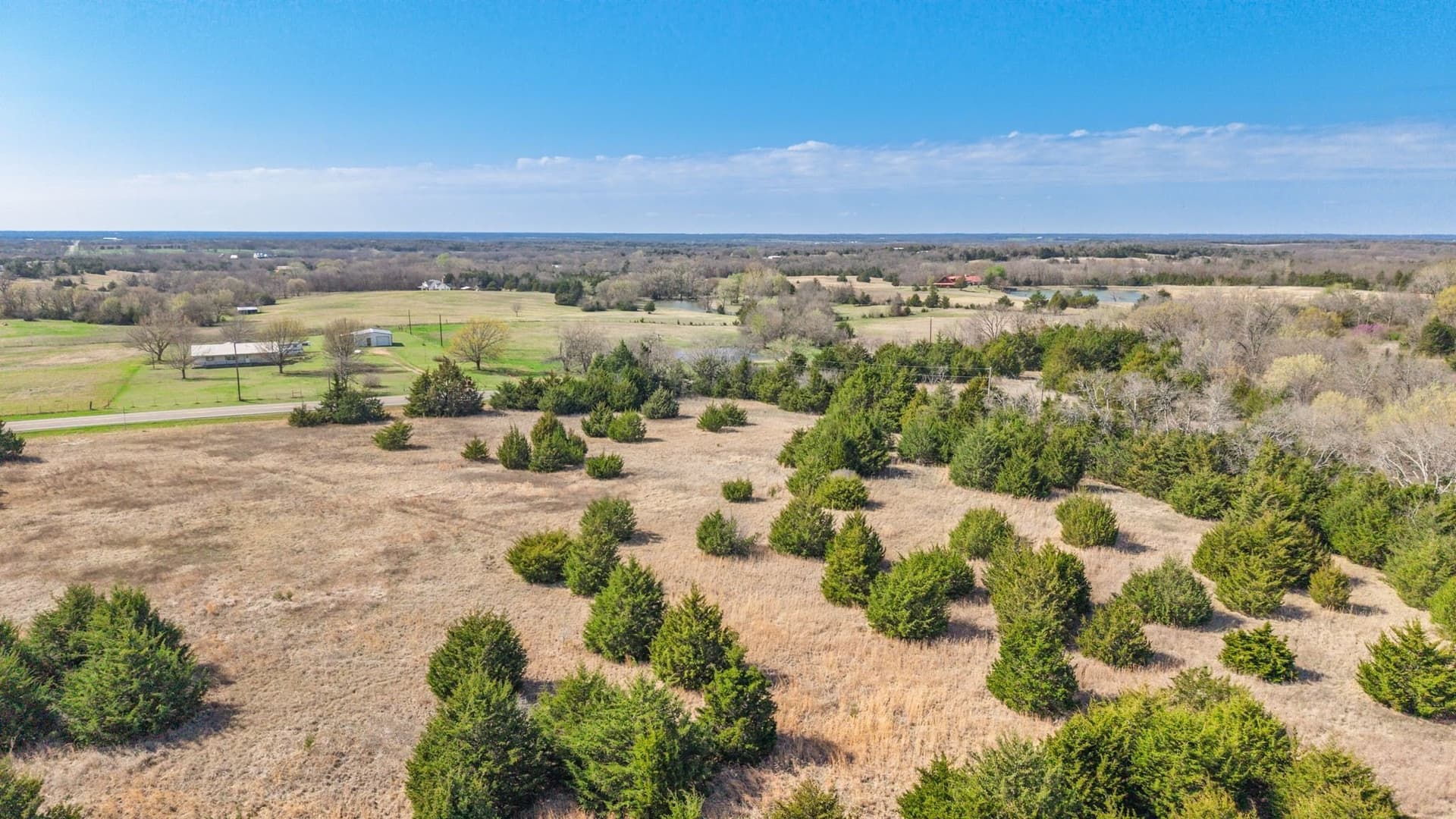 45.63 acres in Fannin County - photo 8
