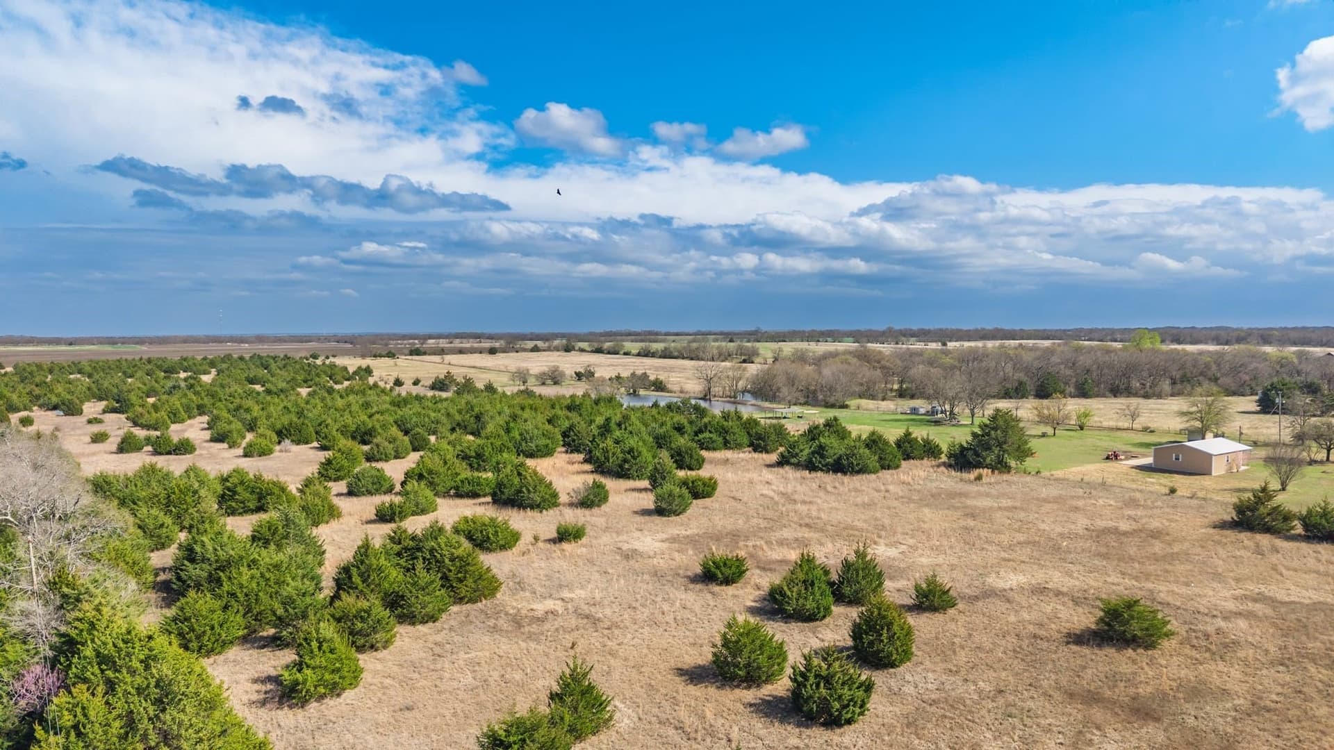 45.63 acres in Fannin County - photo 3