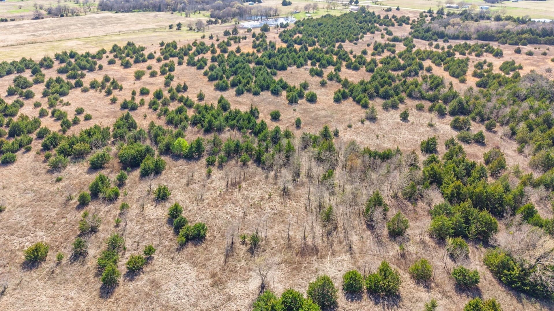 45.63 acres in Fannin County - photo 15
