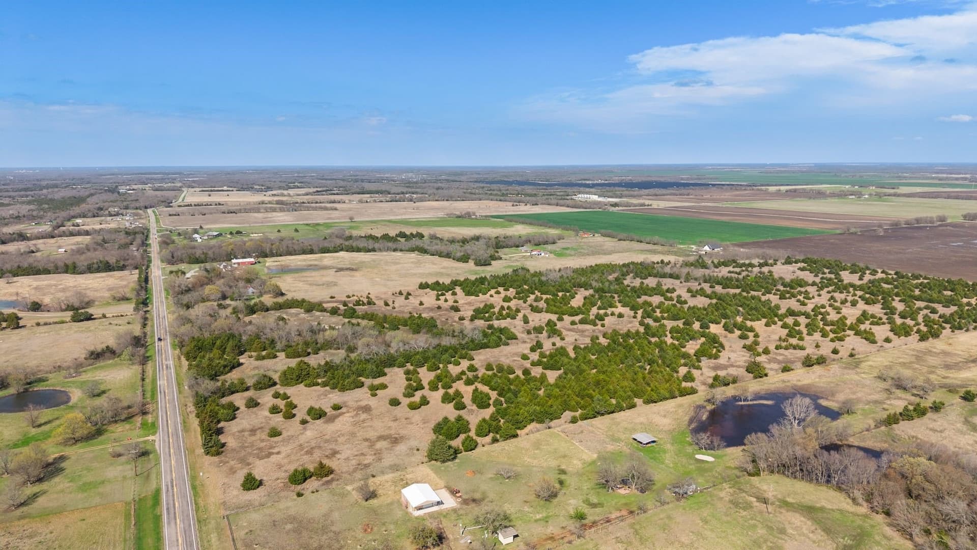 45.63 acres in Fannin County - photo 6