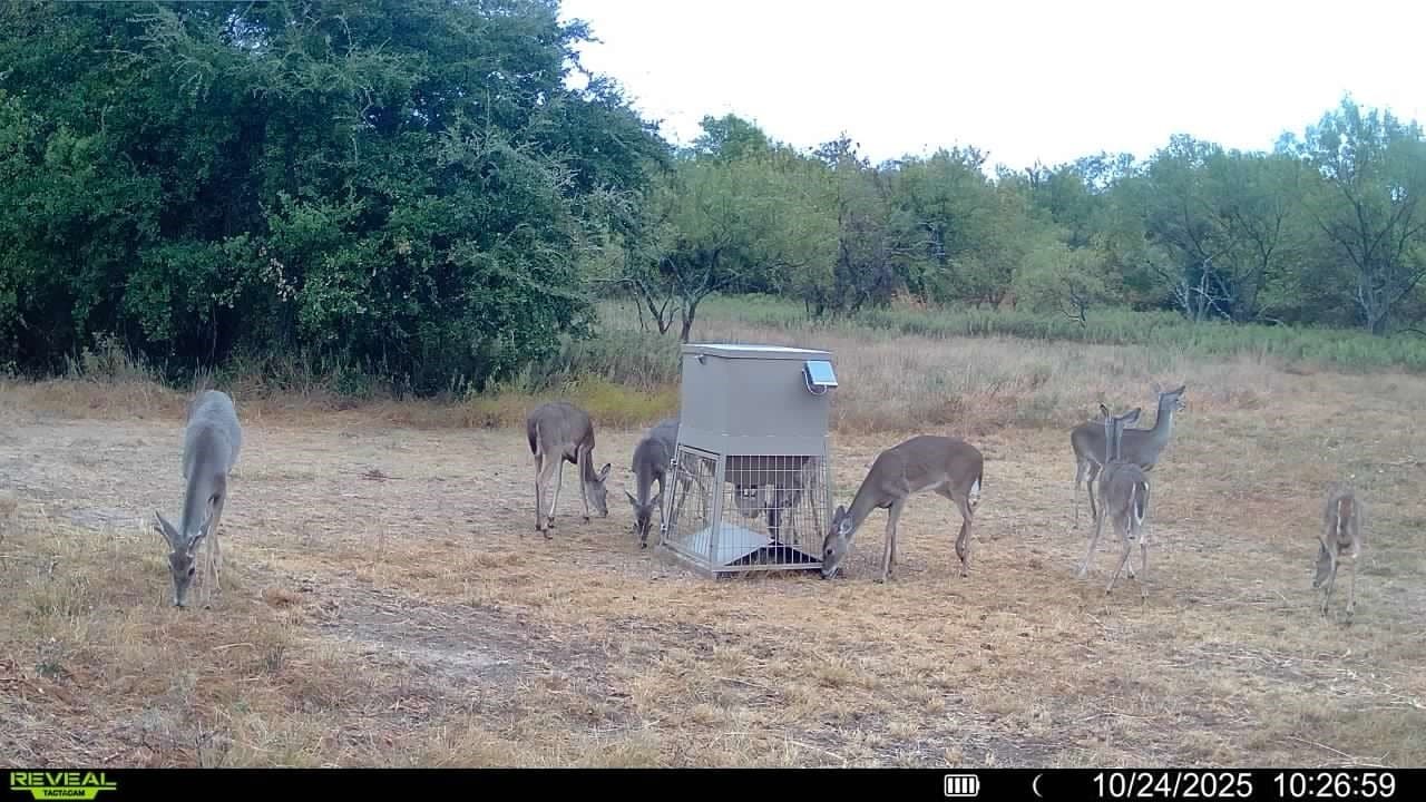 153.74 acres in Brown County - photo 34