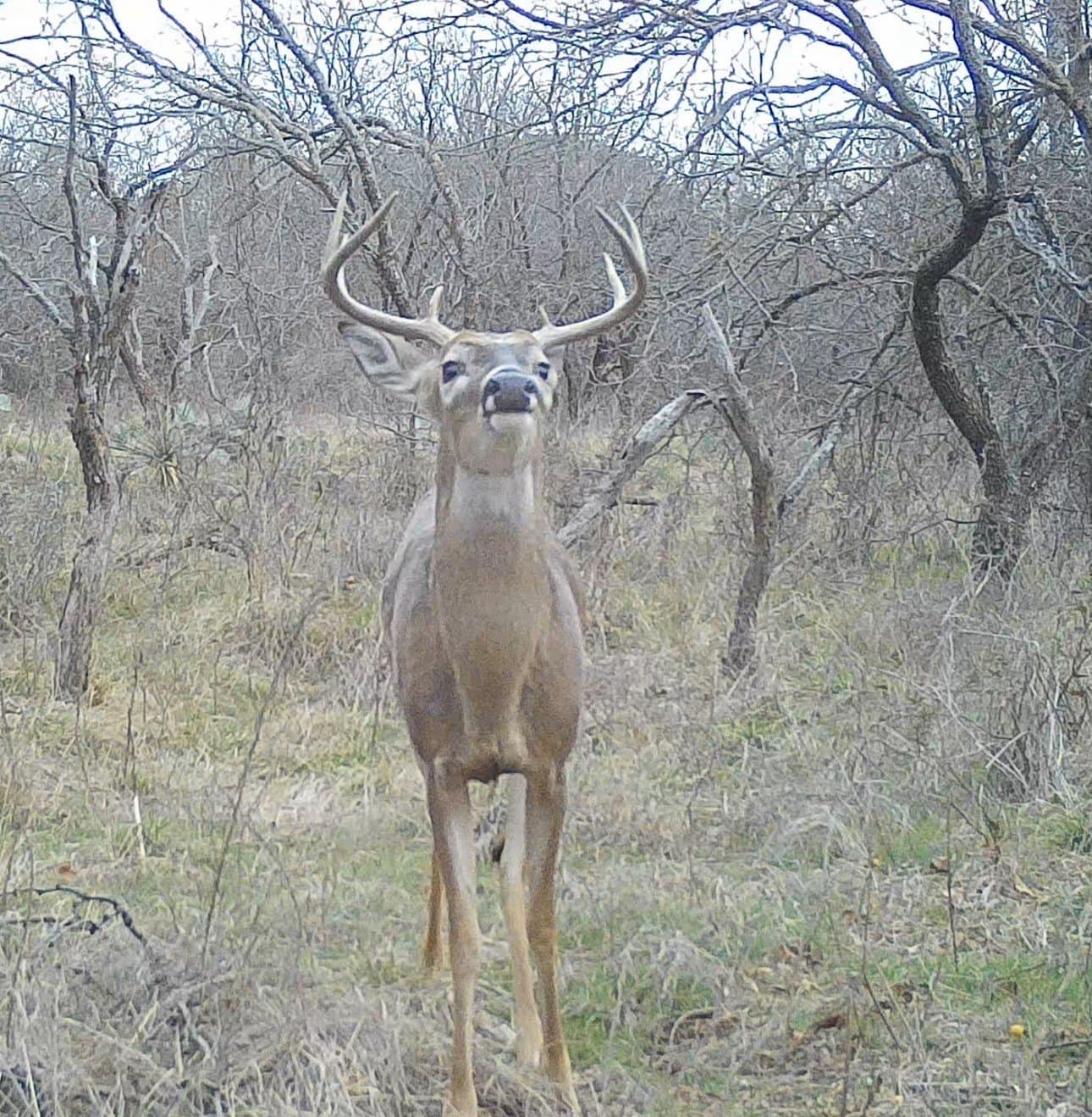 153.74 acres in Brown County - photo 37