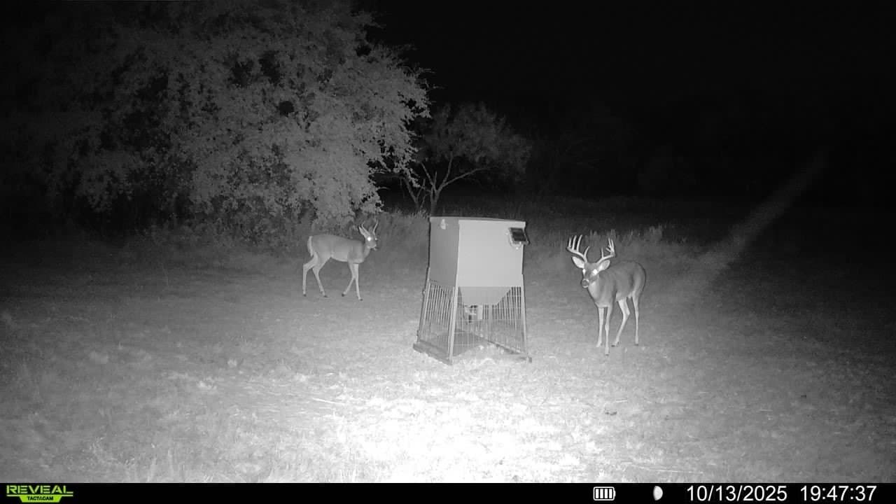 153.74 acres in Brown County - photo 35