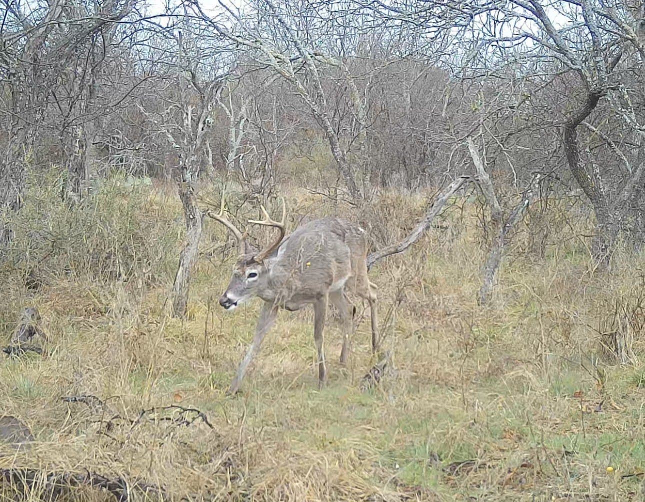153.74 acres in Brown County - photo 36