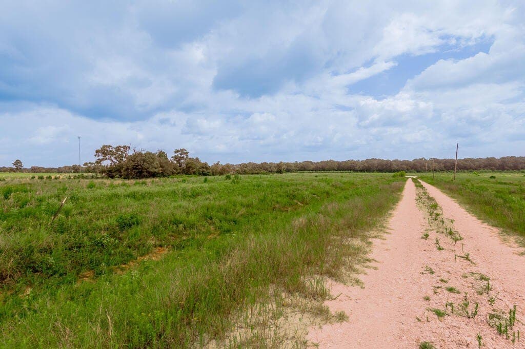 10.01 acres in Texas County - photo 5