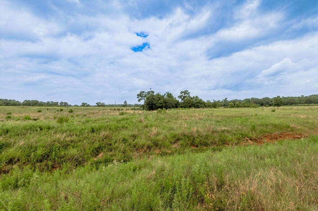 10.01 acres in Texas County - photo 6