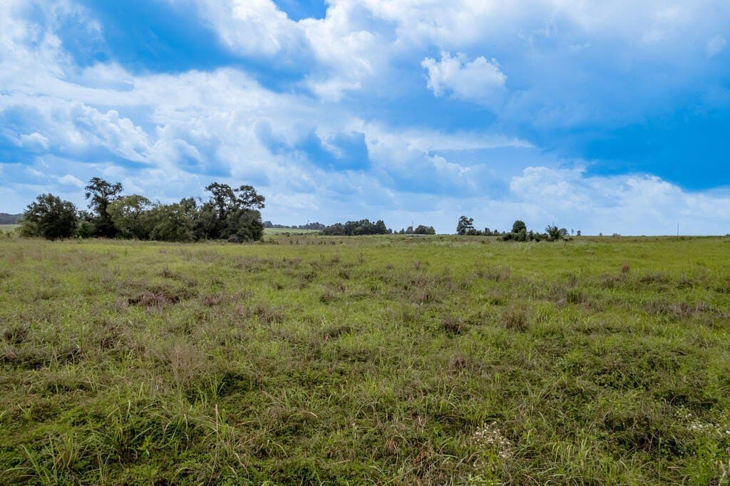 10.01 acres in Texas County - photo 3