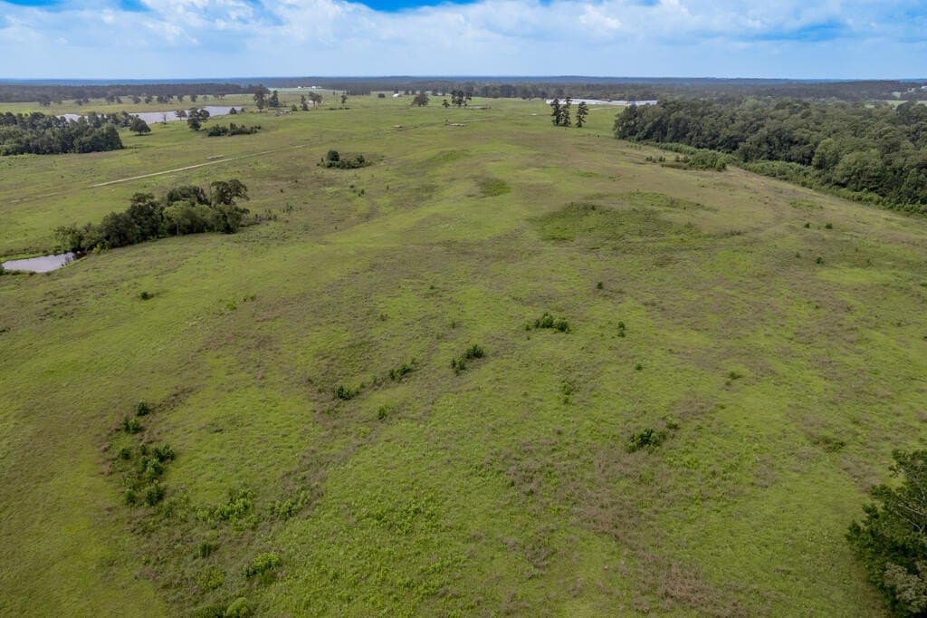 10.01 acres in Texas County - photo 10