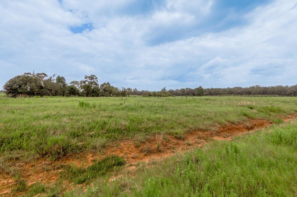 10.01 acres in Texas County - photo 2